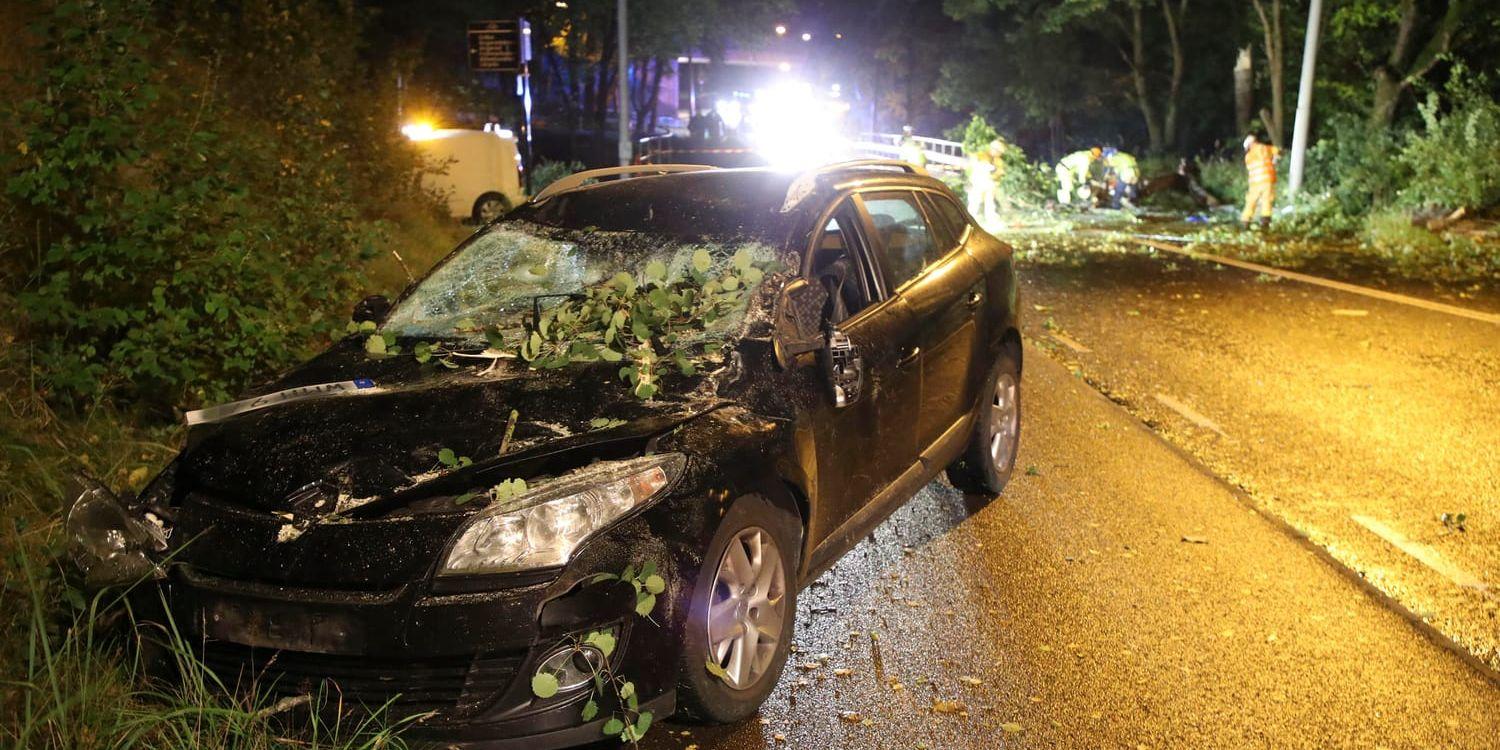 Ett träd föll över en personbil under färd i Göteborg.