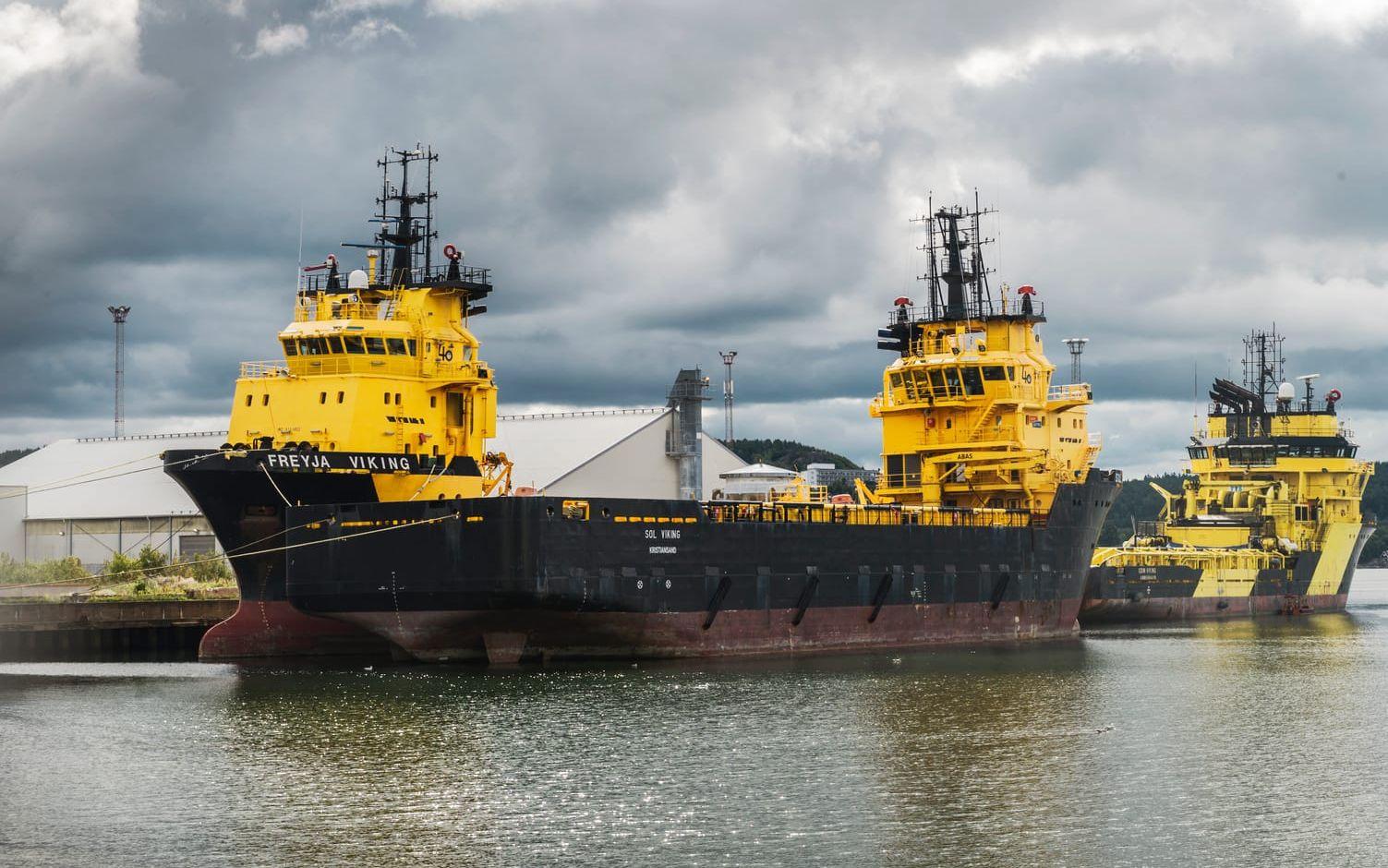 Sex sådana här supplyfartyg från oljeindustrin vilade i Uddevalla hamn i somras. Foto Andreas Dahl.