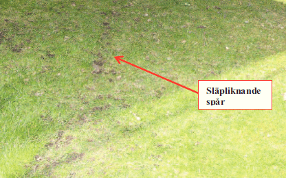 Släpspår på mannens gräsmatta. Bild: Polisen