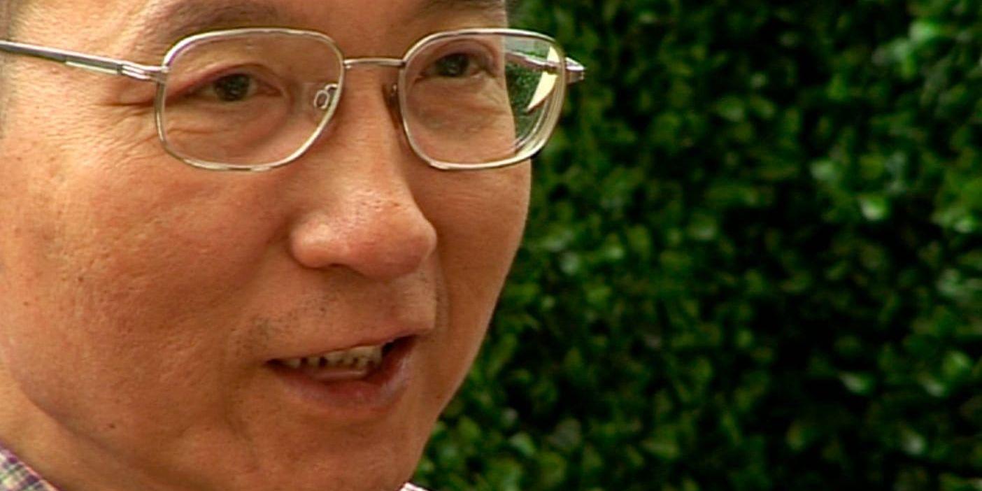 Liu Xiaobo vid en intervju 2008, innan han greps. Arkivbild.