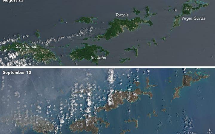Brittiska Jungfruöarna. Den 25:e augusti överst och den 8:e september underst. Öarna ser grönare ut innan stormen. Enligt NASA kan det bero på att grön tropisk växtlighet har dragits bort av starka vindar. Vilket gör att det är marken som syns på bilden. Satellitbild: NASA Earth Observatory.