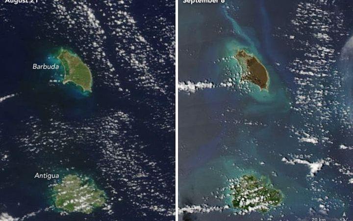 Barbuda. 21:a augusti till vänster och 8:e september till höger. Satellitbild: NASA Earth Observatory.