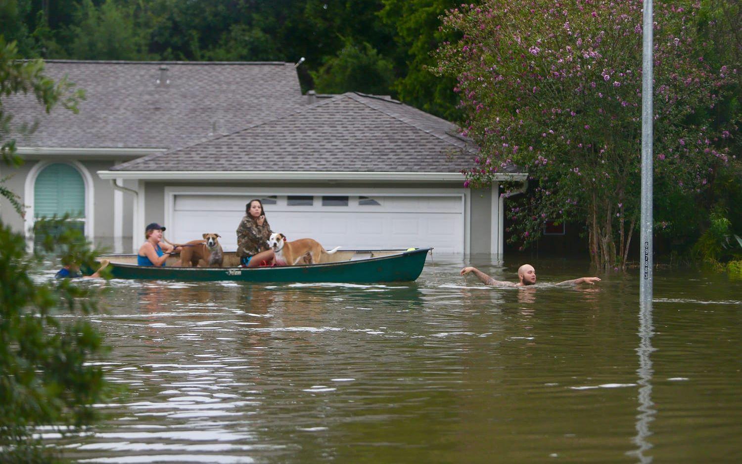 En familj lämnar sitt hem i Meyerland i Houston. FOTO:Mark Mulligan/Houston Chronicle via AP
