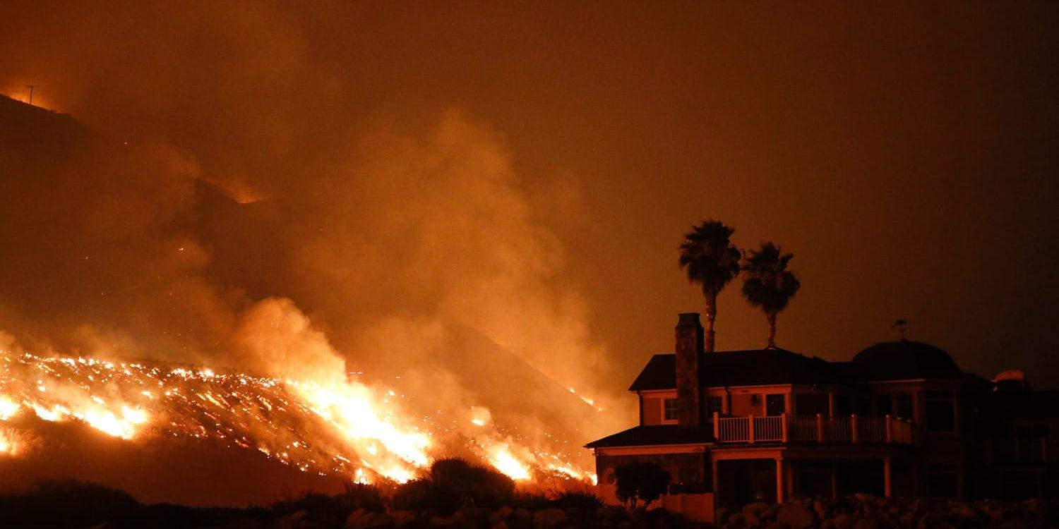 Skogsbranden i Ventura-området, Kalifornien.