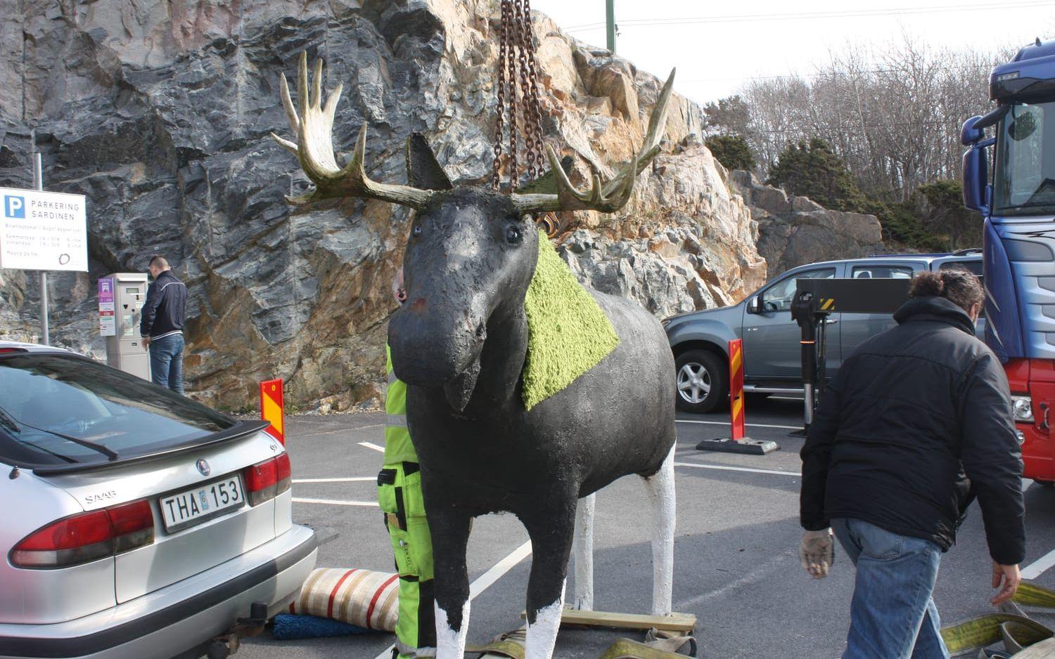 Hans Benjaminssons älg anländer till skulpturparken. Bild: Pontus Johansson.