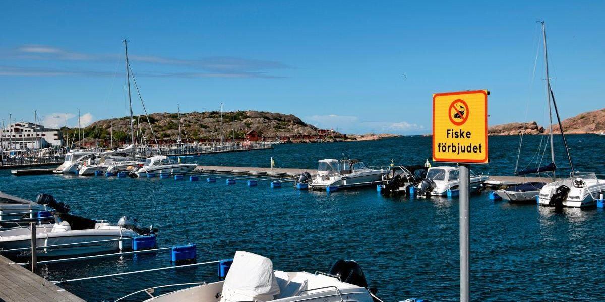 Skyltarna om fiskeförbud ska nu kompletteras med att en motsvarande bestämmelse även förs in i de lokala ordningsstadgarna.