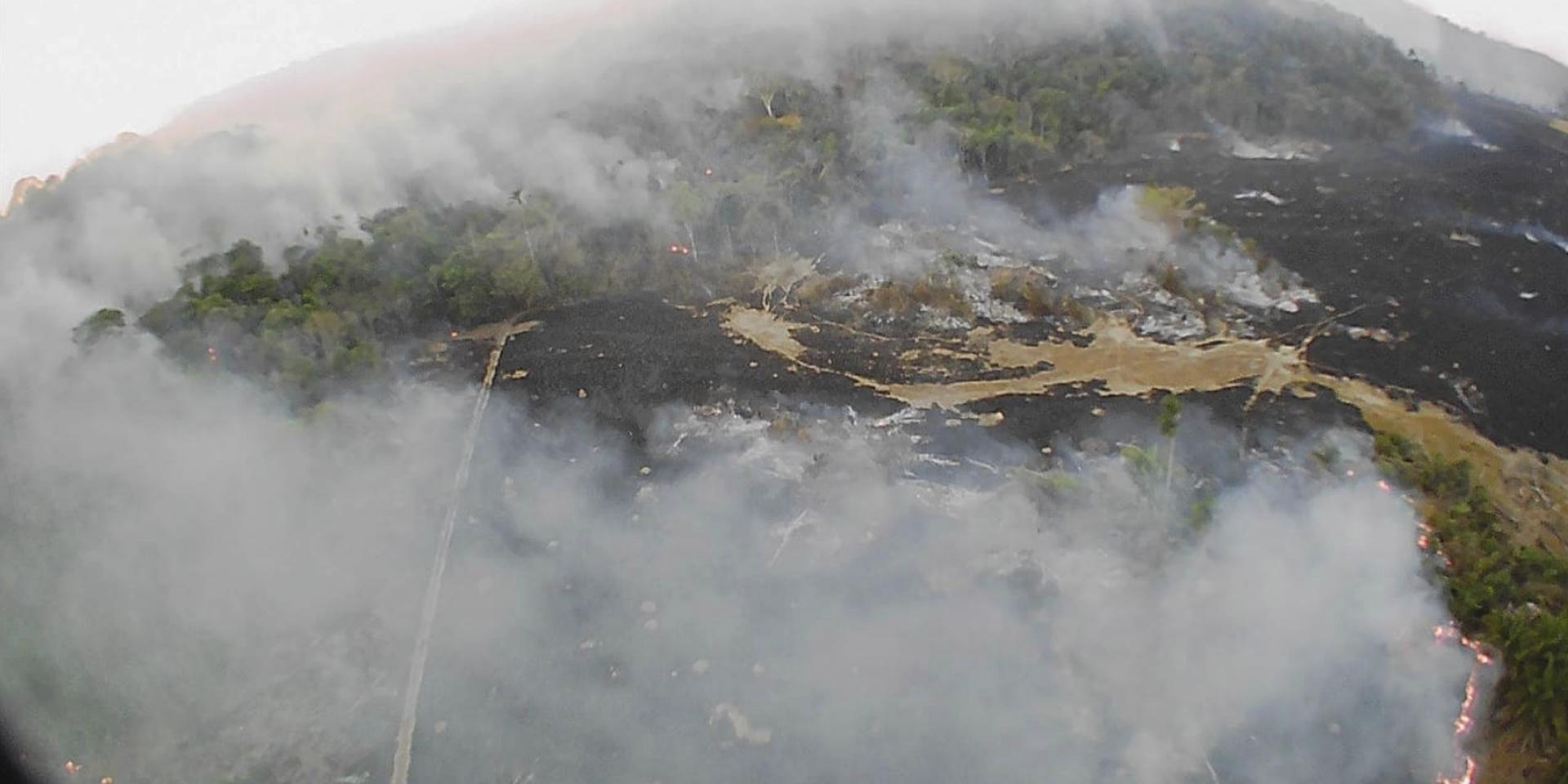 Ett drönarfoto visar skogsbränder i delstaten Mato Grosso i tisdags.