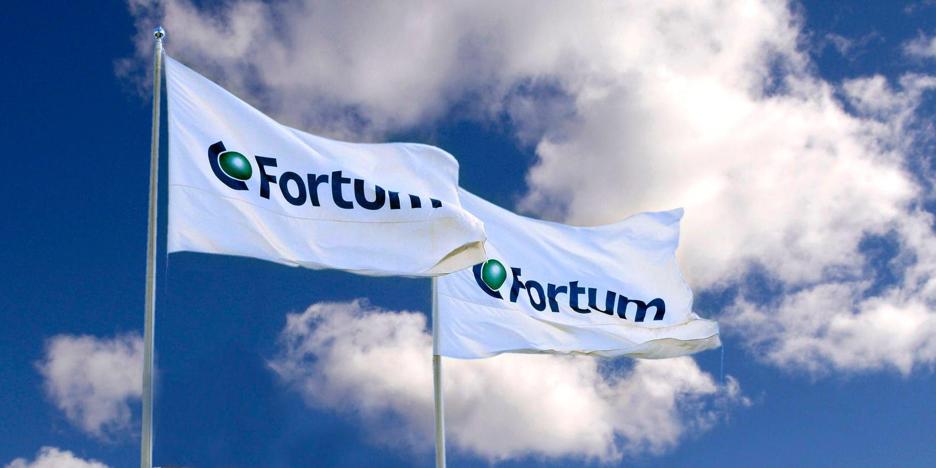 Fortum köper tysk konkurrent. Arkivbild.