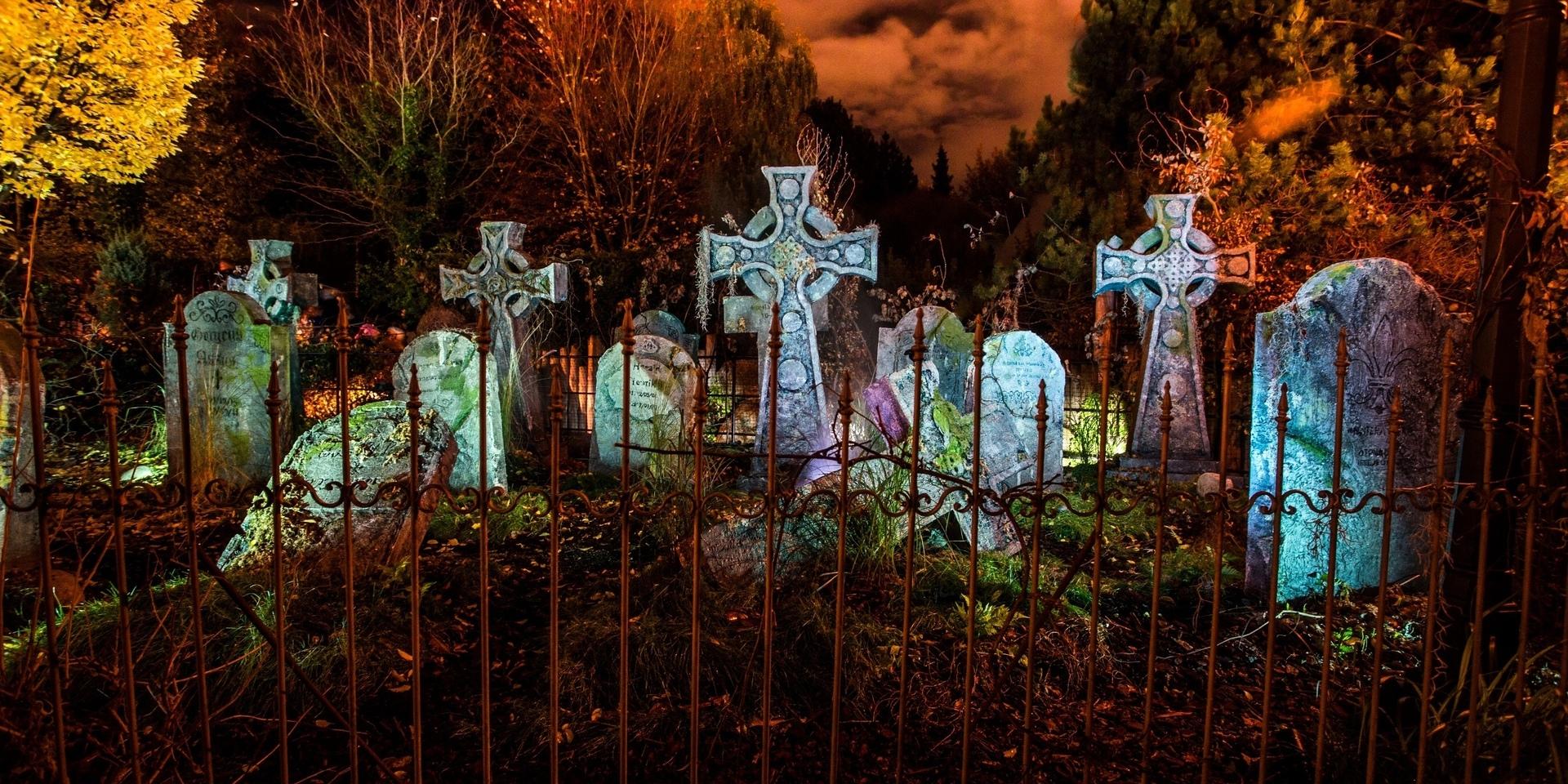 Med 220 skräckaktörer och scener som hämtade ur en skräckfilm slog Liseberg halloweenrekord.