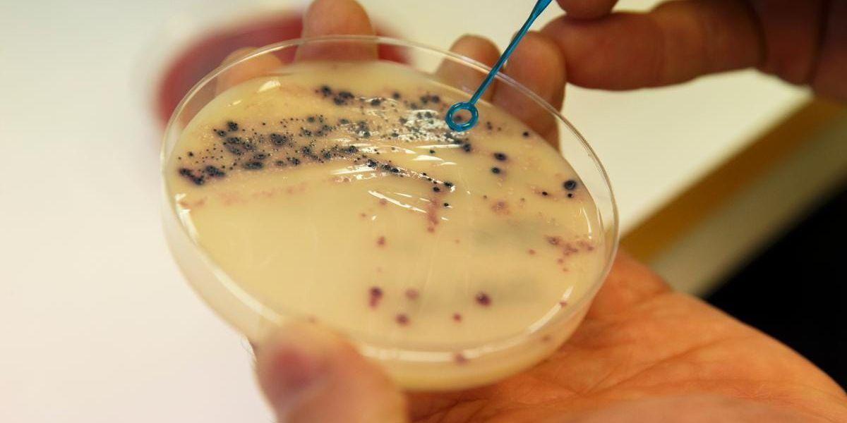 Motstånd. Bakterier okänsliga för antibiotika blir allt vanligare.