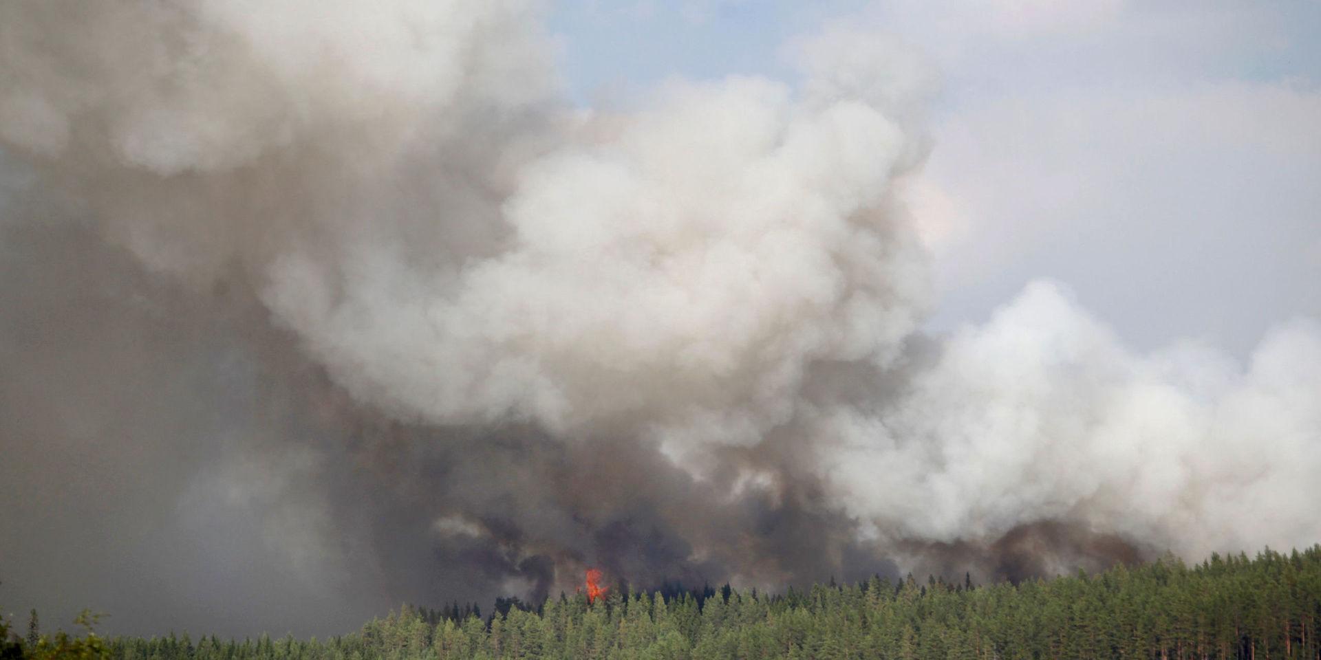 Räddningstjänsten i Göteborg skickar nu medarbetare för att bekämpa skogsbränderna som just nu rasar i Dalarna. Bilden är emellertid från Hammarstrand i Jämtland. 