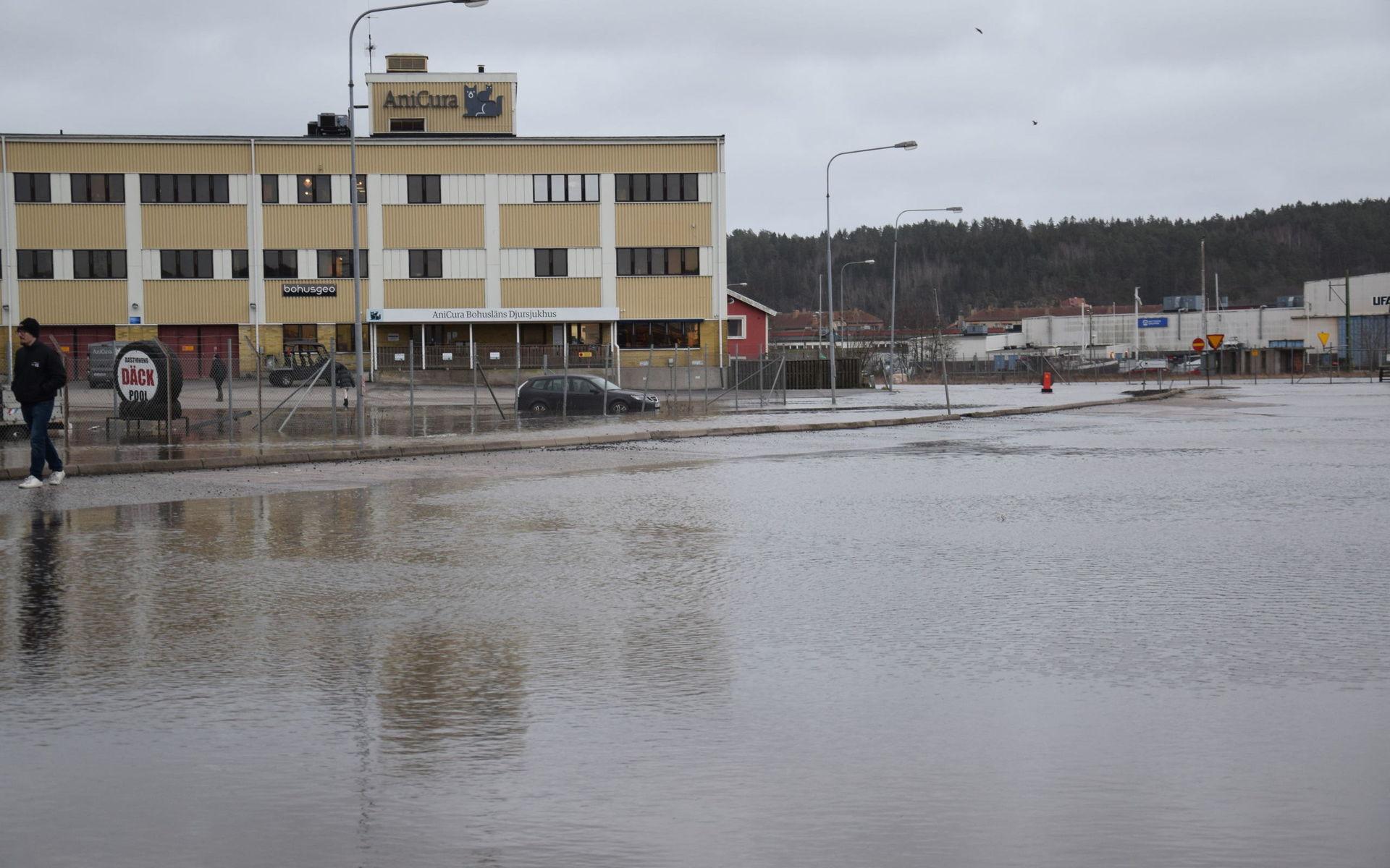 Bastiongatan i Uddevalla har återigen utstått översvämningar efter stormen.