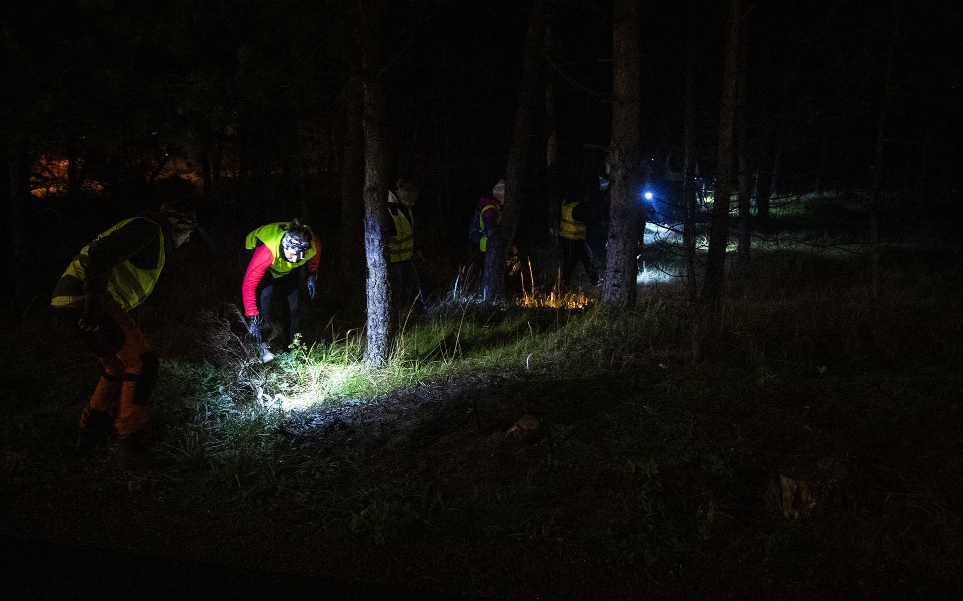 Deltagare i Missing People söker med hjälp av ficklampor i terrängen efter spår. 
