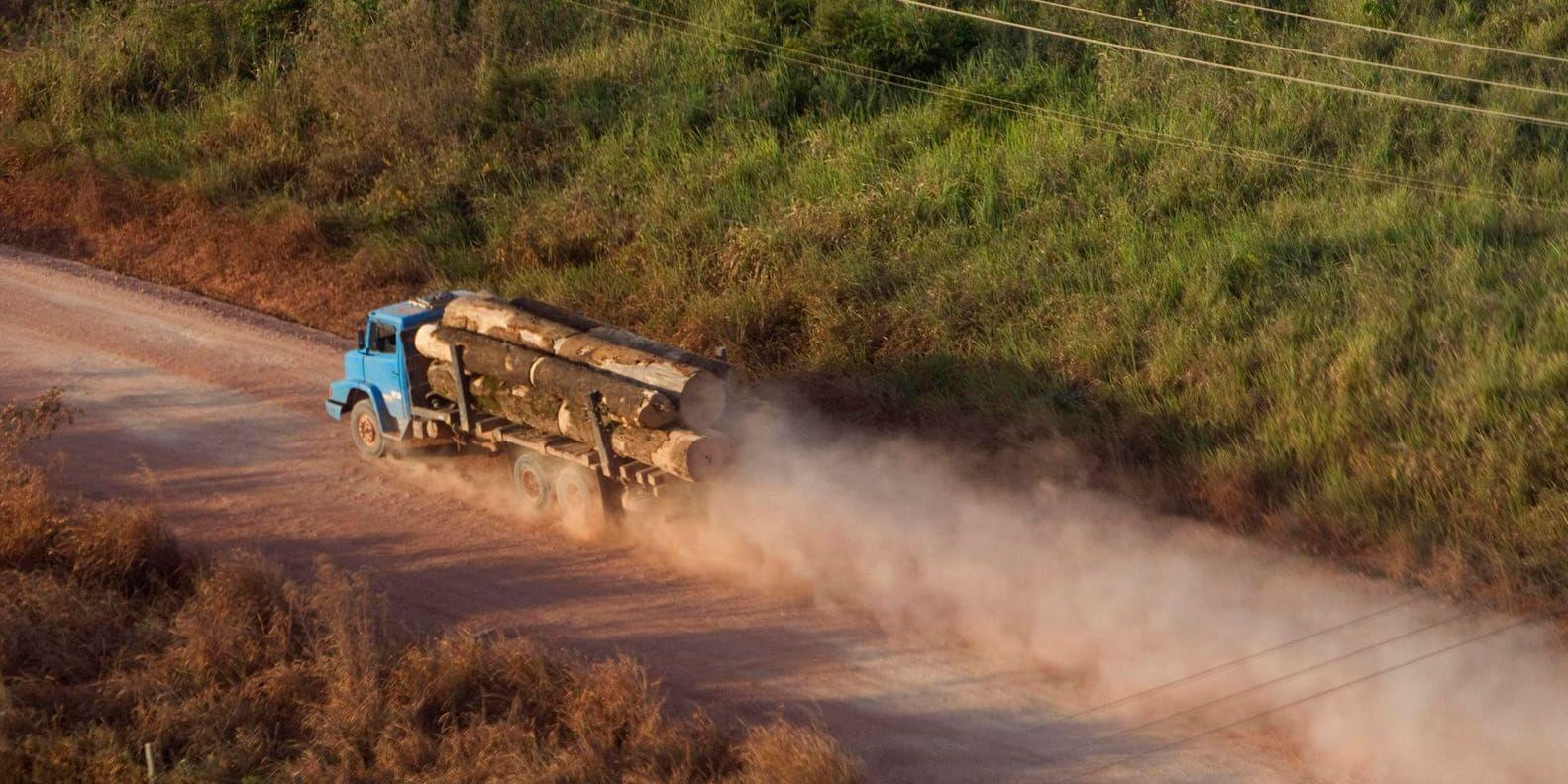 En lastbil fraktar timmer i delstaten Pará i Brasilien. Arkivbild.