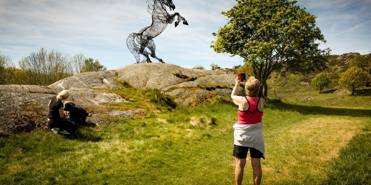 Den syriska hästen i skulpturparken i Pilane på Tjörn där den först visades . Nu finns den i Uddevalla. 