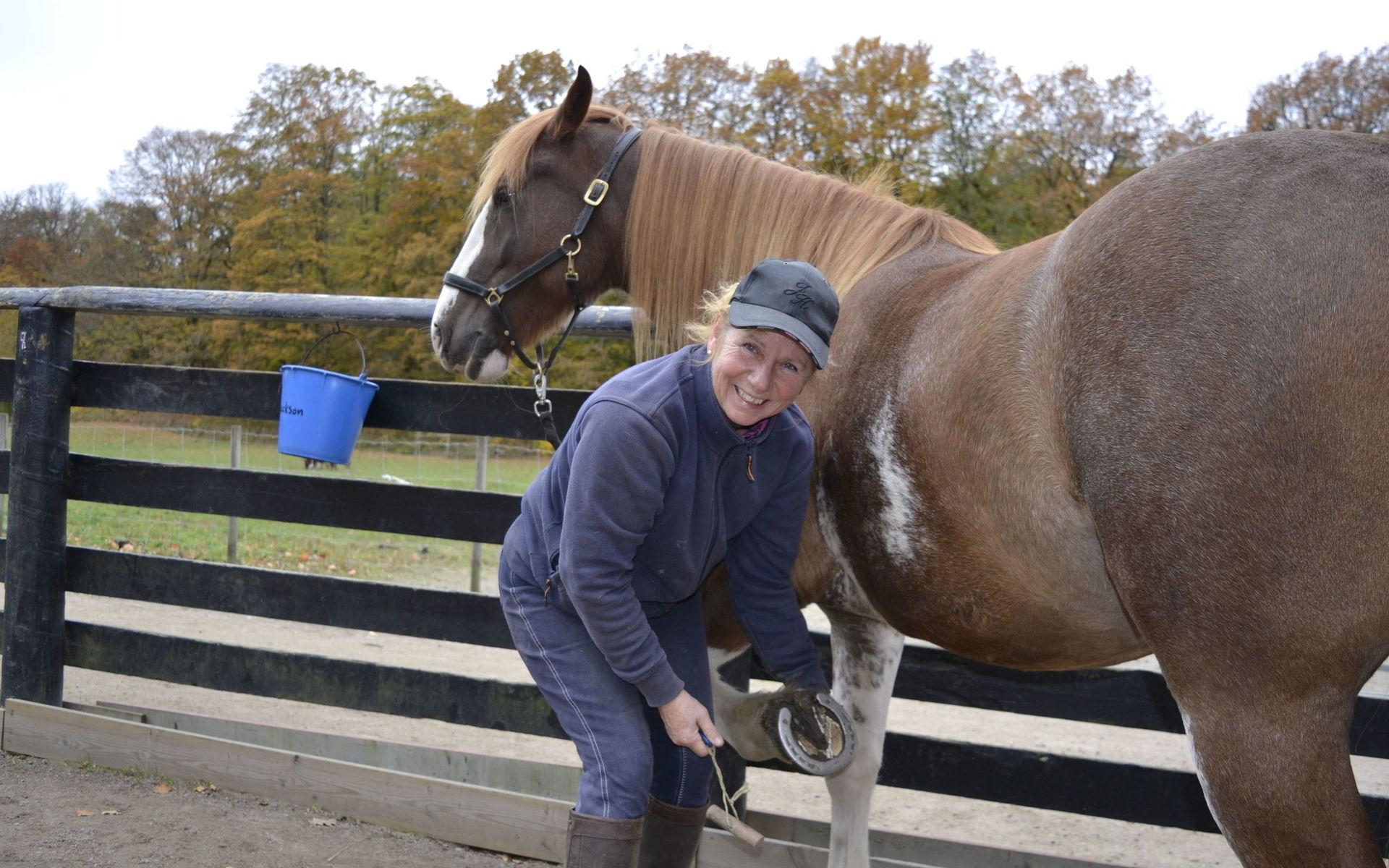 Ingela Karlsson Odenmalm menar att äldre hästar ofta är lättare att ha att göra med.