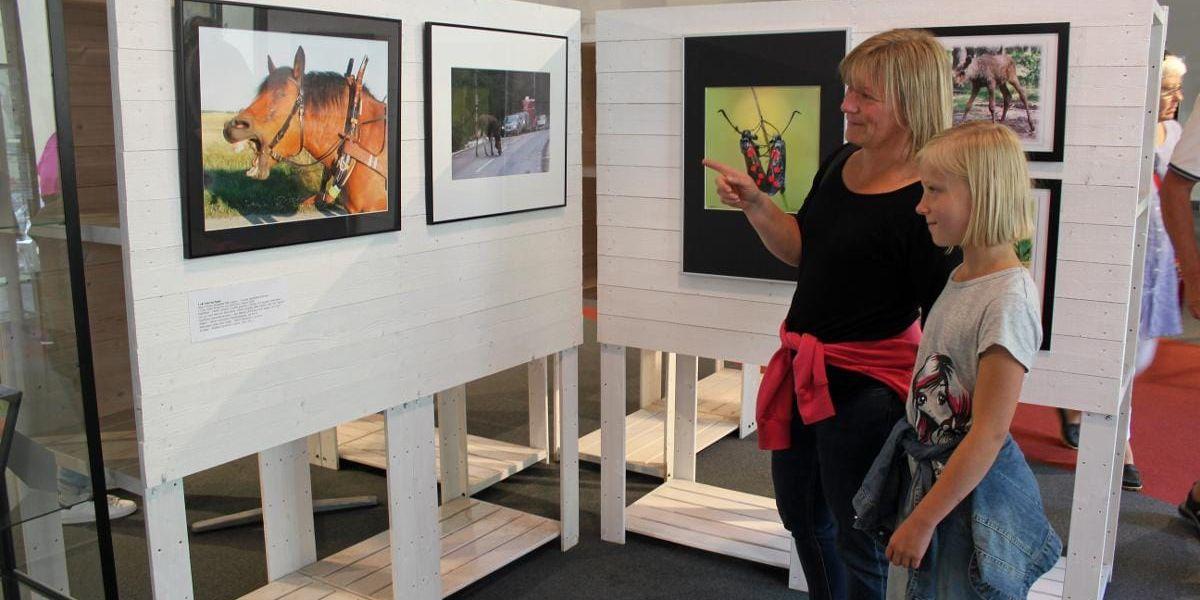 Ögonblicksbild. Lena Ljungman och hennes dotter, Elin Kristiansson, gjorde en utflykt för att bland annat titta på utställningen.