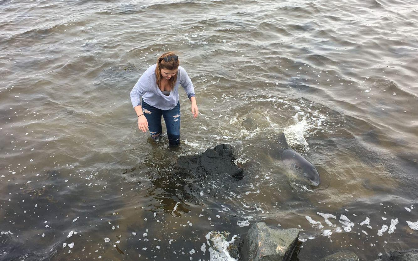 Blöt hjälte. Dagens goda gärning står Jessica Skantze för när hon fick loss en tumlare som gått på grund strax innan Mollösund.