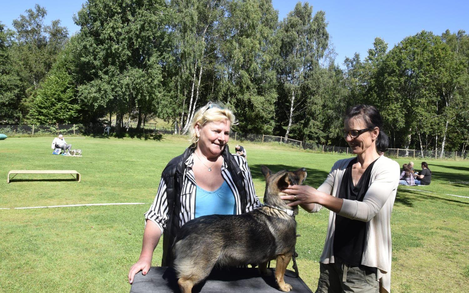 Karin Ramneskär får sin hund besiktigad av Karin Jonstad
