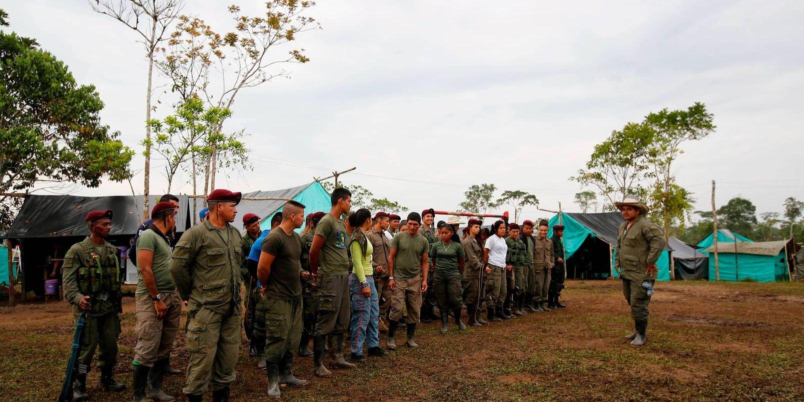 Colombias revolutionära väpnade styrkor, Farc, samlas i sitt läger nära Puerto Asis i Colombia. Arkivbild.