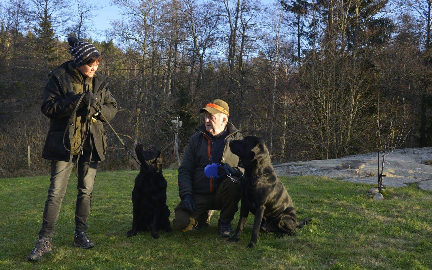 Kennelkonsulenterna Anna Billing och Kent Prytz har träffat många hundar som skadats psykiskt av fyrverkerier. De efterlyser därför att de som ska skjuta nyårsraketer gör det ansvarsfullt, och meddelar hundägare. Deras egna hundar Bosse och Barbro bekymrar sig mest om lek och mat. Bild: Daniel Gustafsson