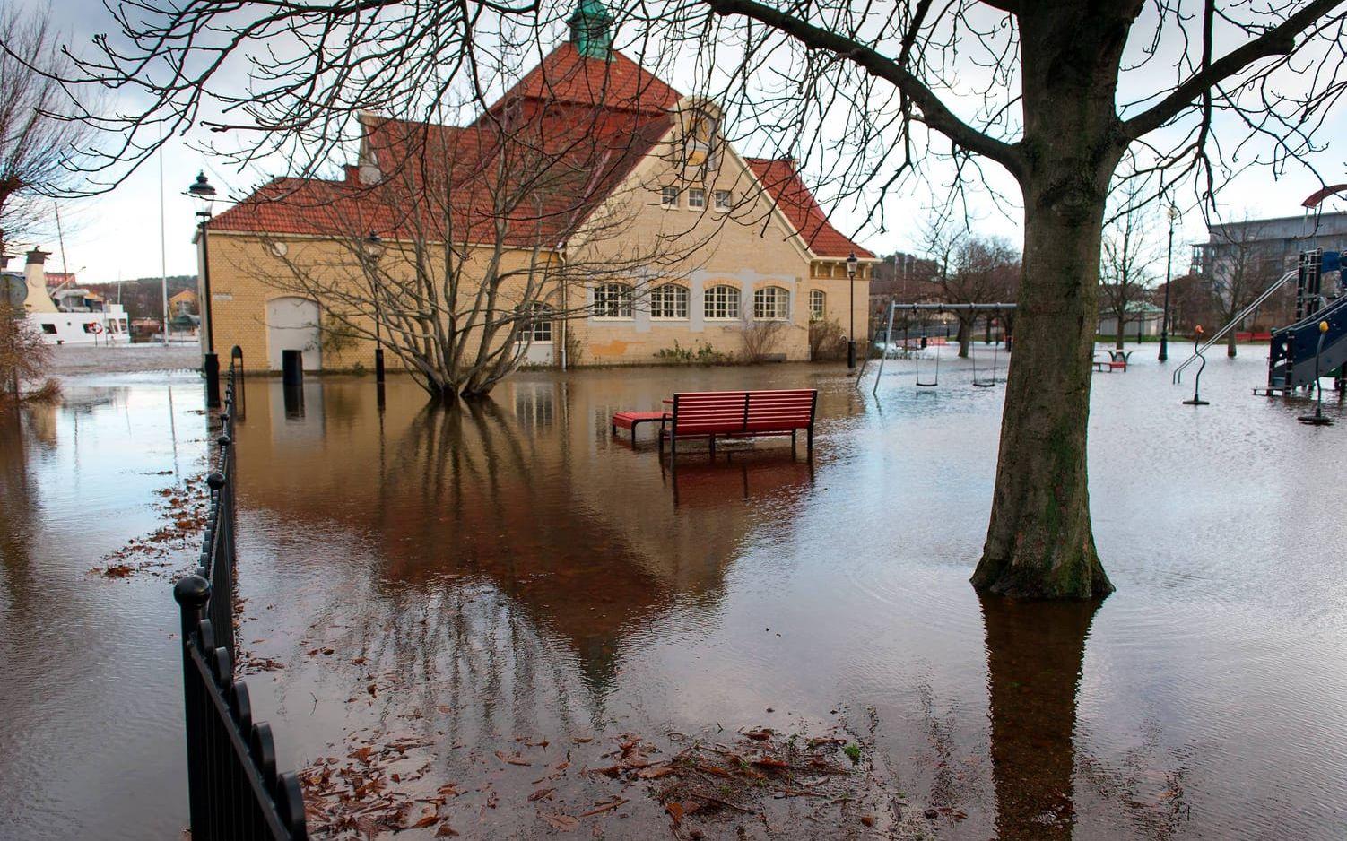 Översvämning gamla badhuset Bild: Lasse Edwartz