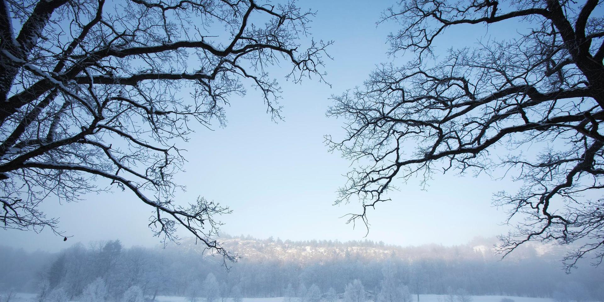 Vinterhalkan når Västsverige under torsdagen. Arkivbild.