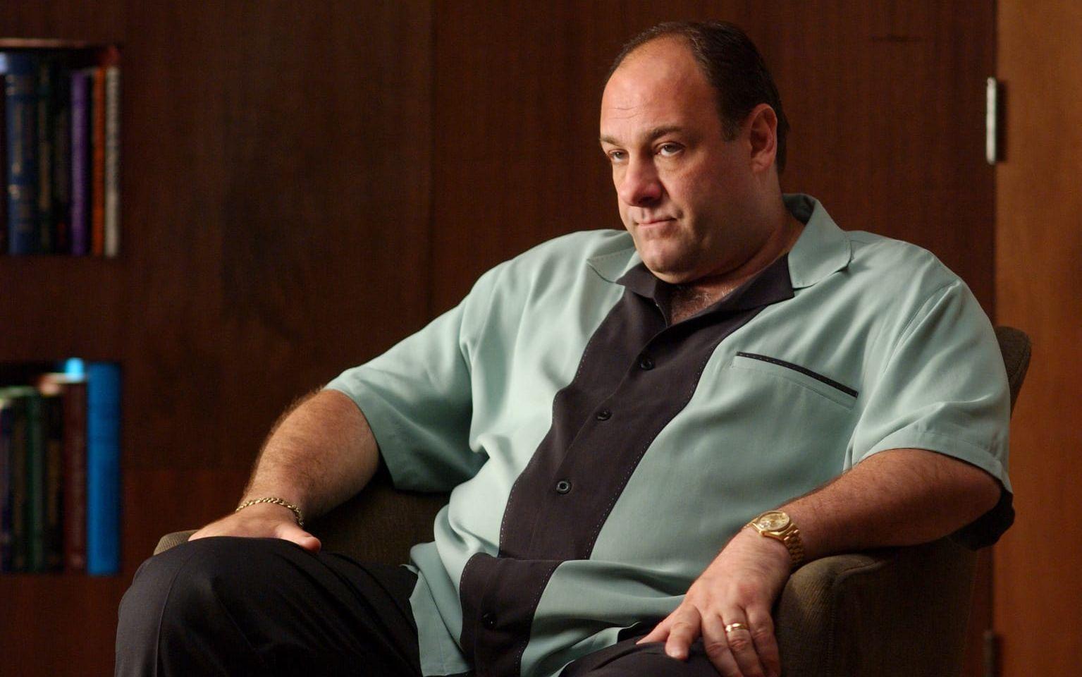 <strong>JAMES GANDOLFINI.</strong> Tv-seriens odiskutabla huvudperson, Tony Soprano, spelades av James Gandolfini, och i likhet med huvudkaraktären var han från New Jersey och hade italienskt påbrå. Foto: HBO
