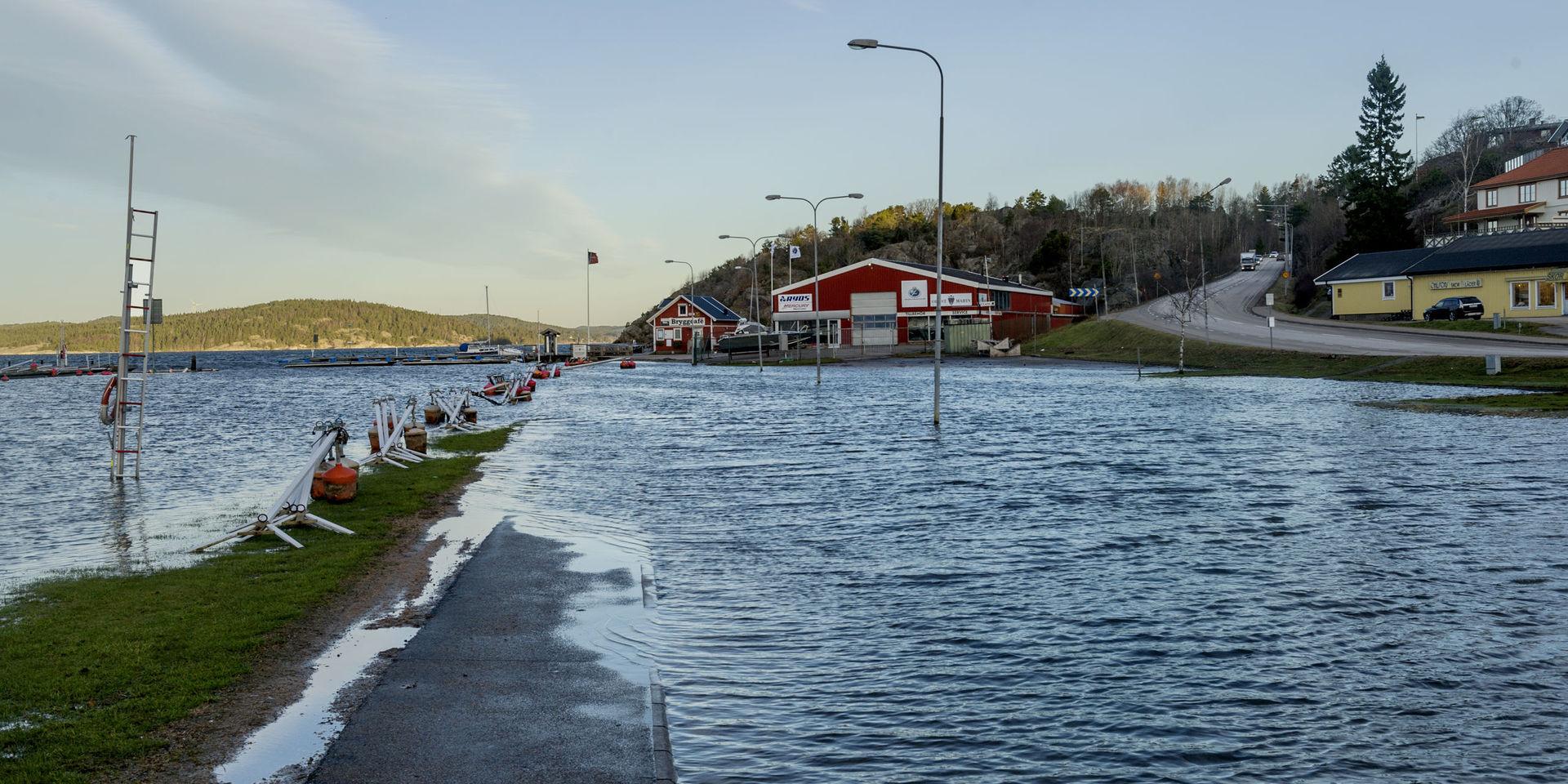 Akuta åtgärder krävs för att rädda båtplatser i Henåns hamn.