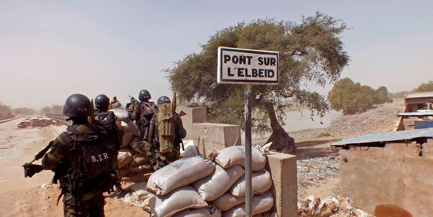 Kamerun kämpar mot den terrorstämplade extremistgruppen Boko Haram. Arkivbild.