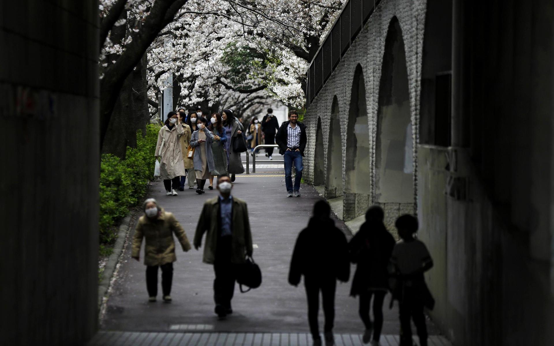 Människor som vandrar under körsbärsträden längs Megurofloden i Tokyo den 27 mars.