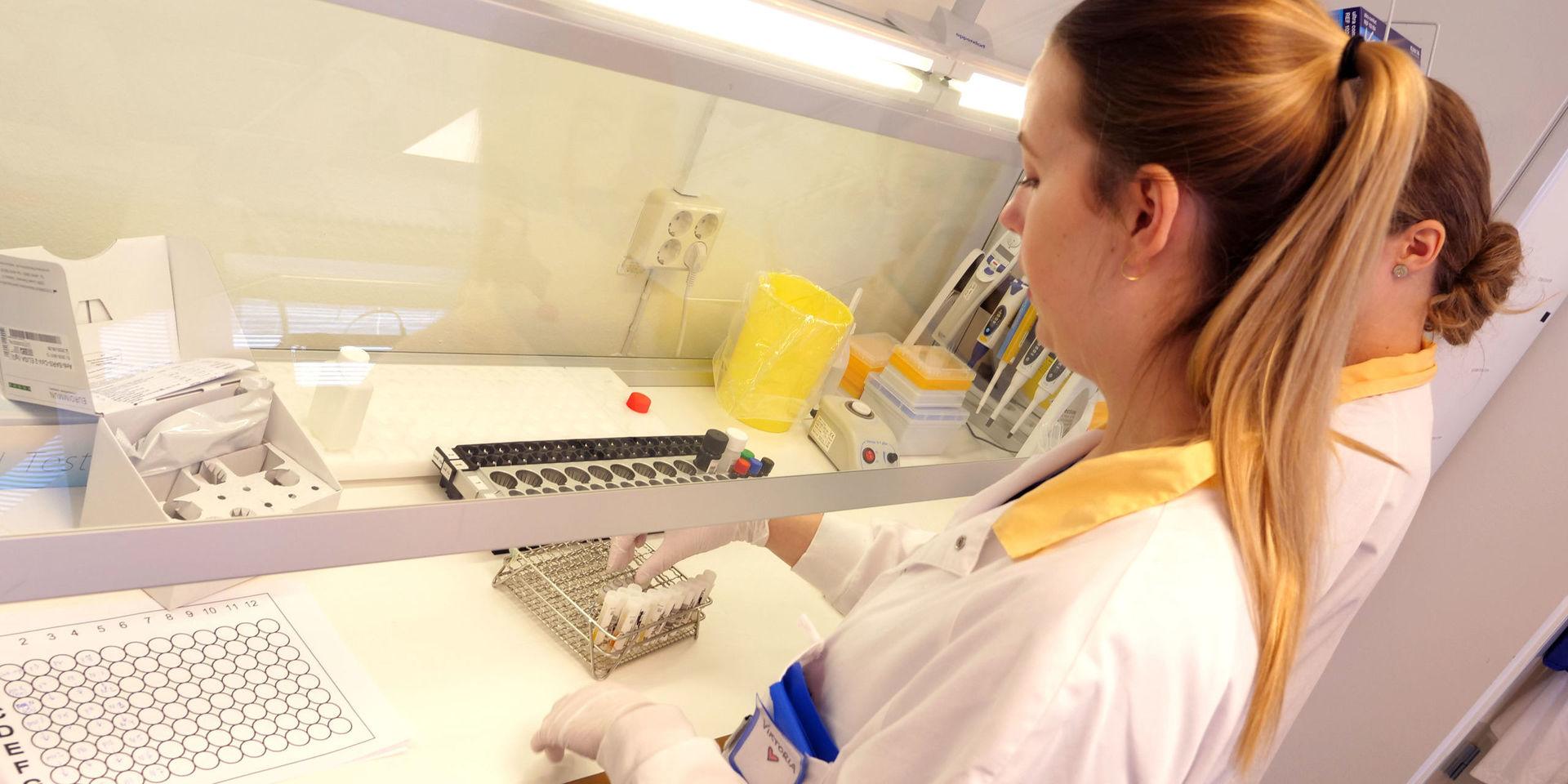 Viktoria Hennings, biolog vid mikrobiologiska laboratoriet på Sahlgrenska Universitetssjukhuset, förbereder proverna för att testa dem för antikroppar.