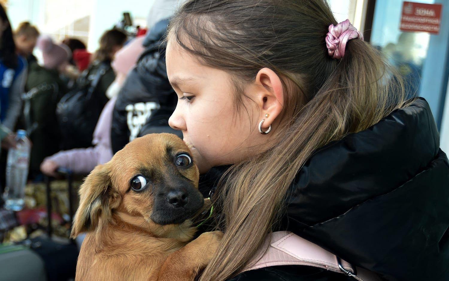 A girl, an evacuee from Kherson, holds her dog as she arrives at the railway station in Dzhankoi, Crimea, on Wednesday, Nov. 2, 2022. Russian authorities have encouraged residents of Kherson to evacuate, warning that the city may come under massive Ukrainian shelling. (AP Photo)  XAZ132