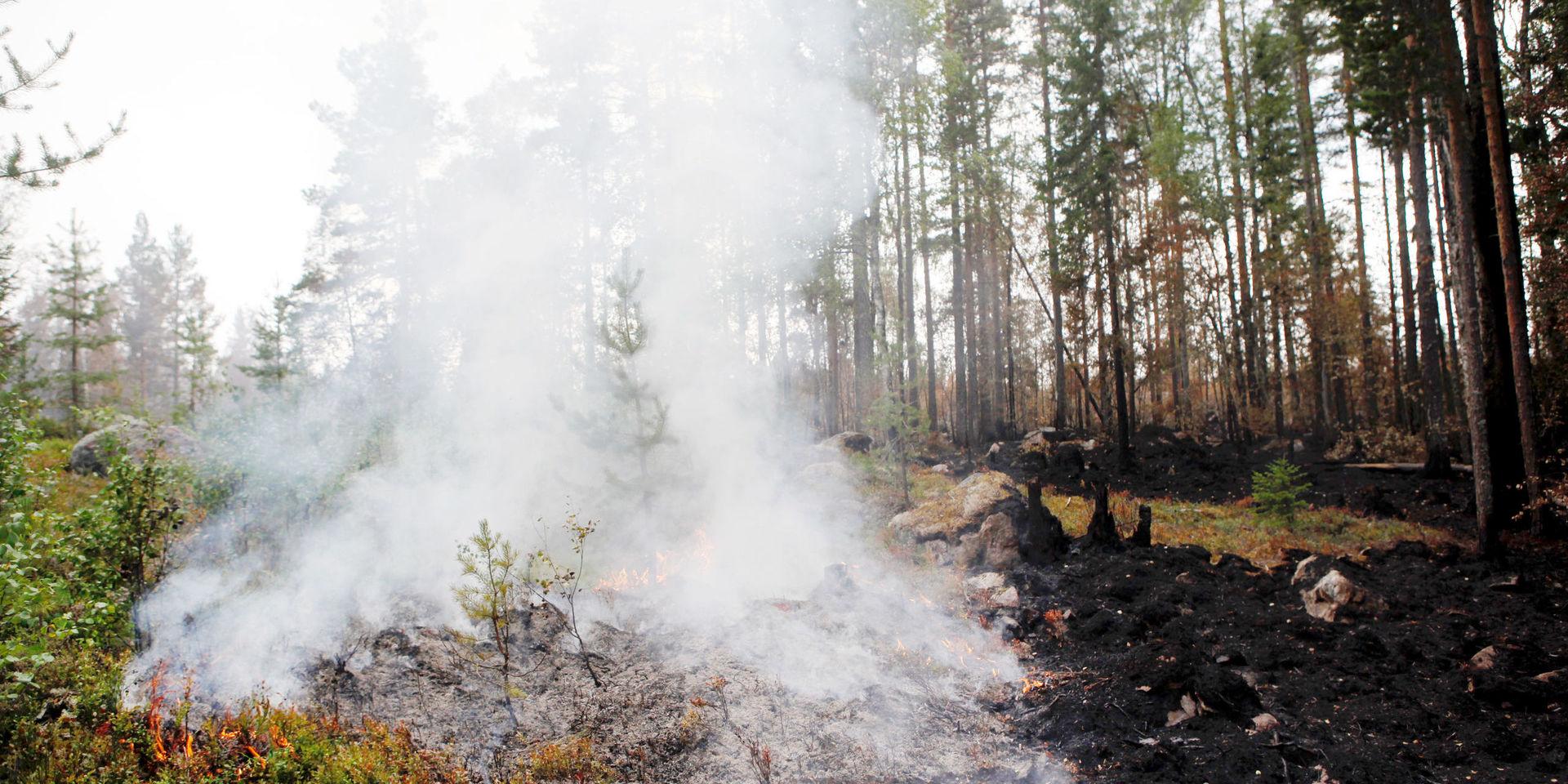Pyrande rök vid skogsbrand i Ljusdals kommun förra sommaren. Arkivbild.