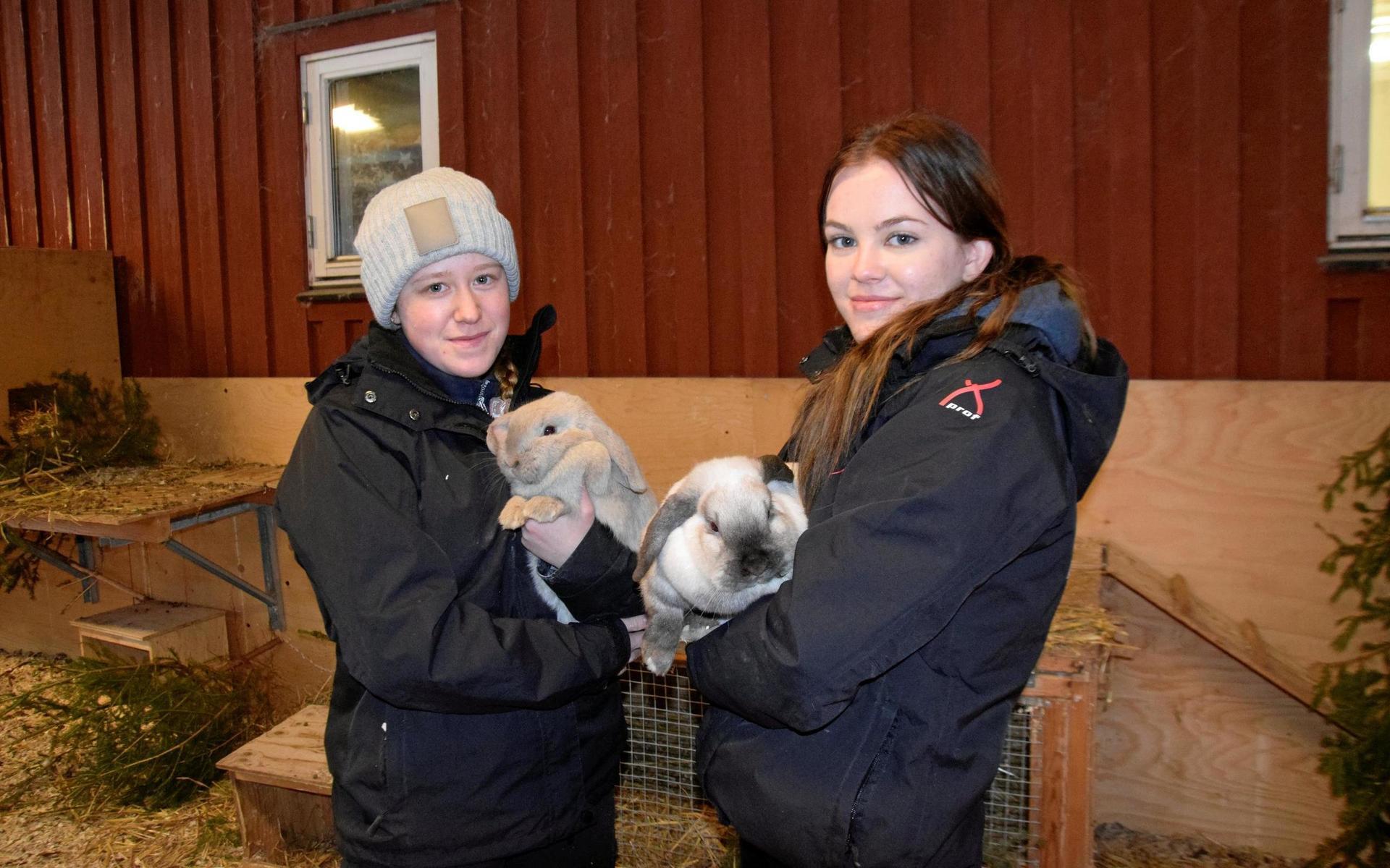 Sanna Stefansson och Emilia Öst går i årskurs tre på Naturbruksgymnasiet i Dingle.
