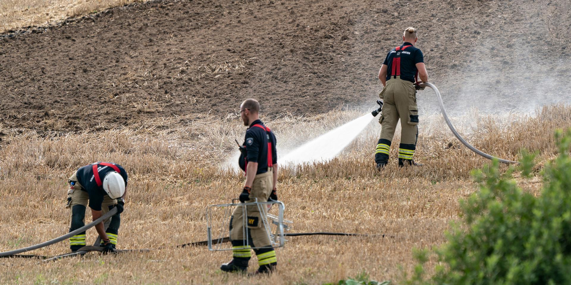 Räddningstjänsten under släckningen av en gräsbrand i södra Sverige förra sommaren. Arkivbild.