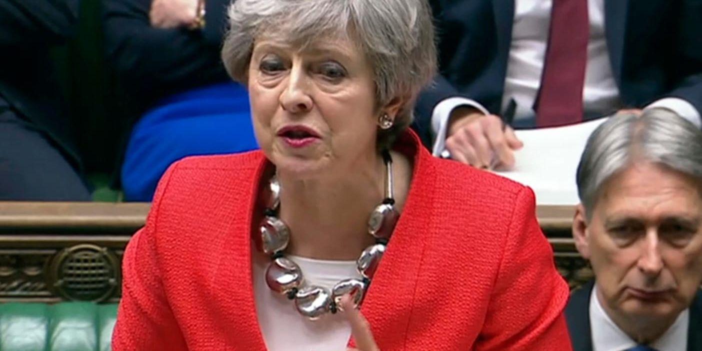 Premiärminister Theresa May är bunden av parlamentets beslut, anser statsvetaren Nicholas Aylott.
