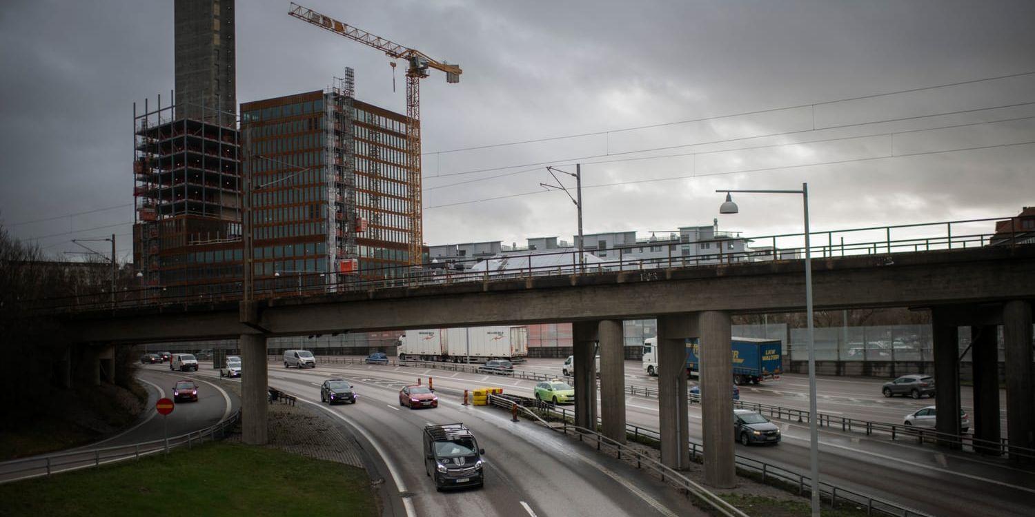 I helgen får man räkna med köer när man kör på E6 genom genom Göteborg. 
