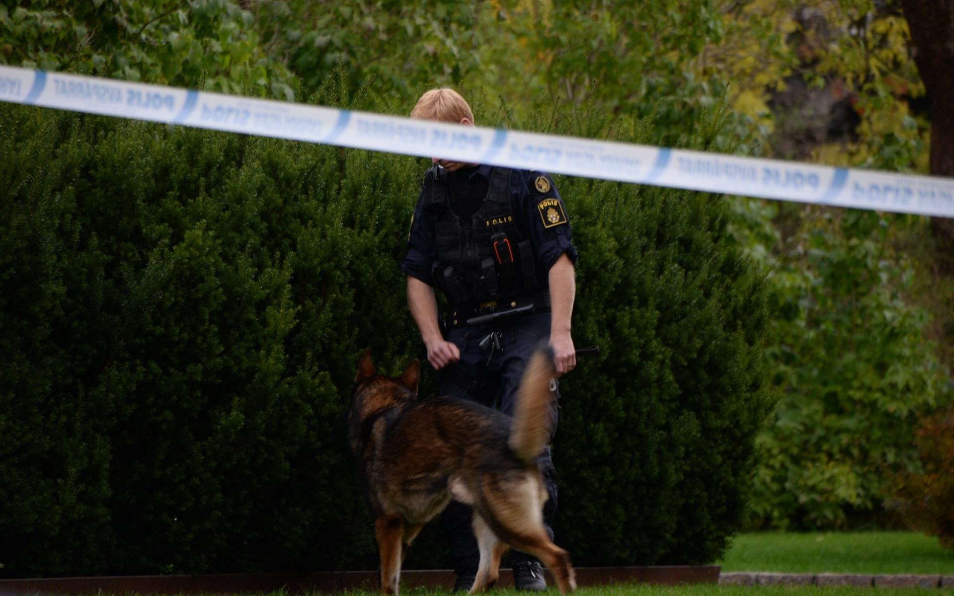 Flera skott avlossades mot en bostad i Uddevalla under måndagsnatten. Polisen utför flera utredningsåtgärder vid bostaden. Bland annat finns det två hundpatruller i området för att säkra eventuella spår på eftermiddagen.