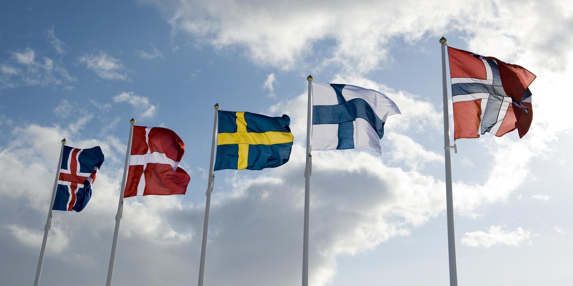 ”Att bekämpningen av pandemin misslyckats i Sverige har våra grannländer helt klart för sig.”