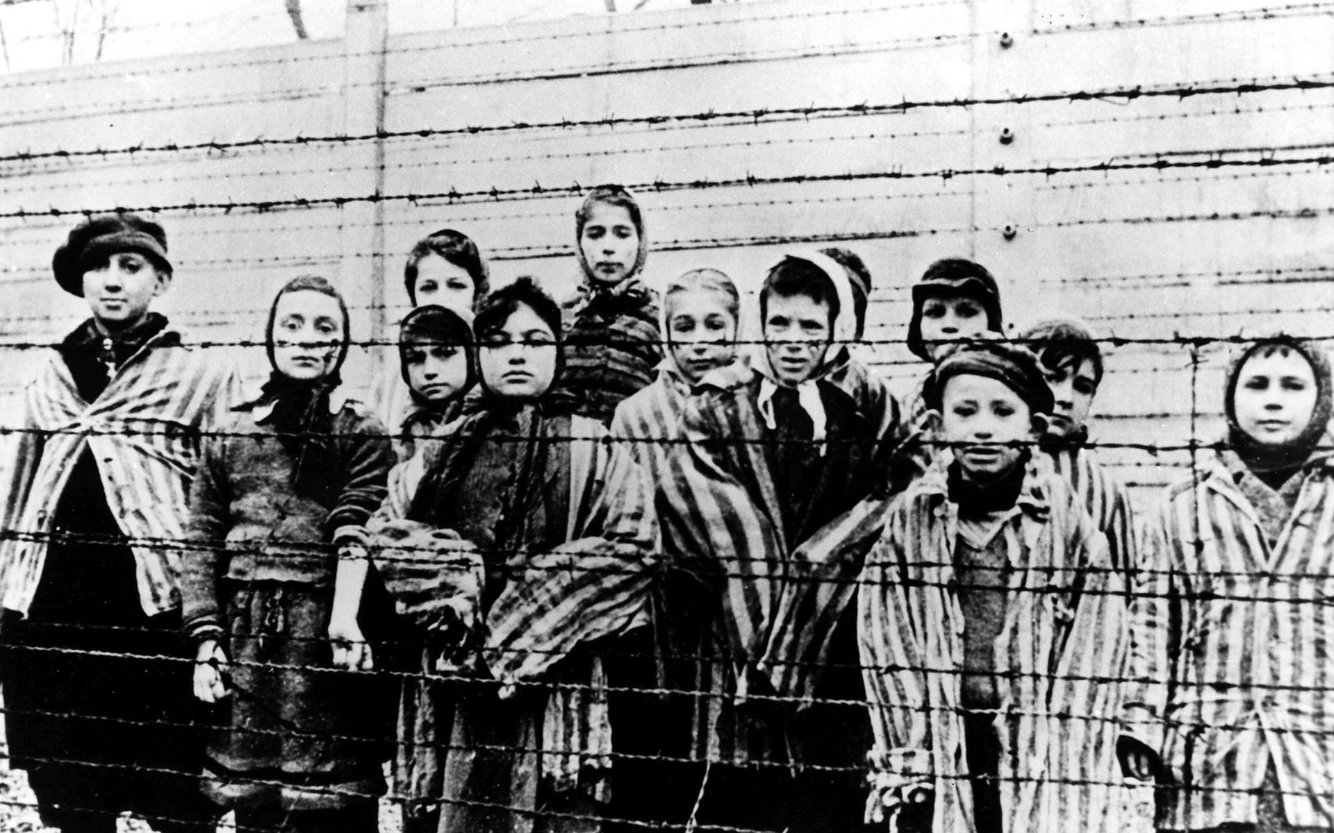 Fångar i Auschwitz som befriades av Röda armén i januari 1945.