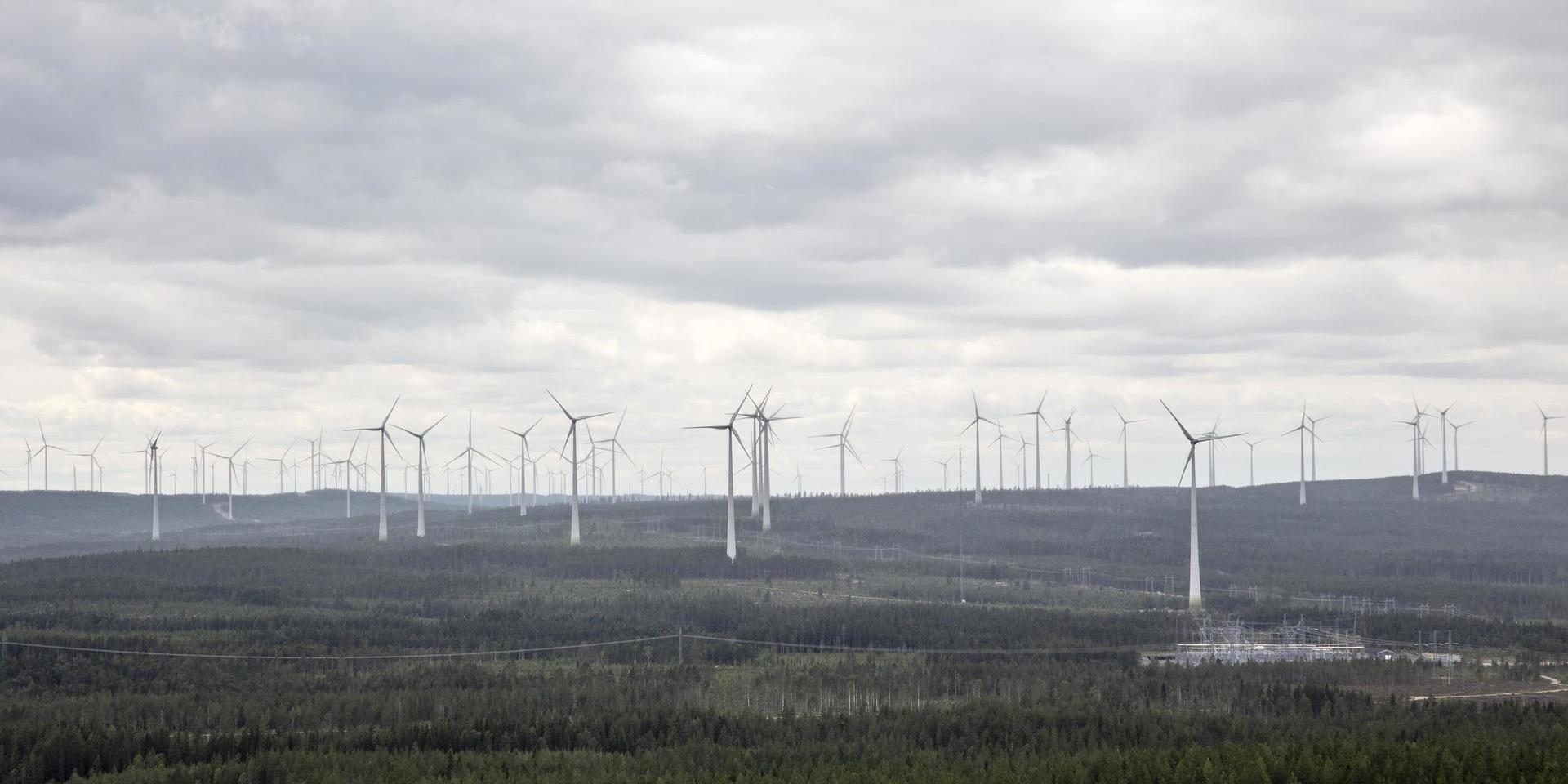 Framtidens vindkraftsparker kan delvis komma att bestå av vindkrafttorn i trä, enligt Vattenfall. På bilden syns vindkraftverk i Piteå. Arkivbild.
