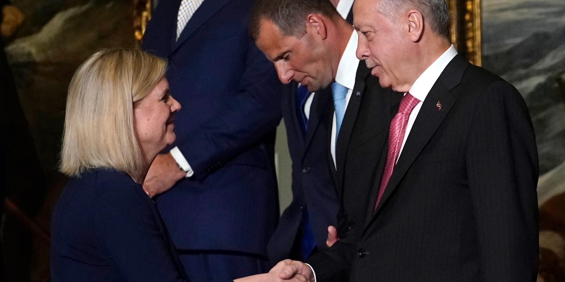De möts igen. Statsminister Magdalena Andersson (S) och Turkiets president Recep Tayyip Erdoğan ska träffas i Finland på fredag.
