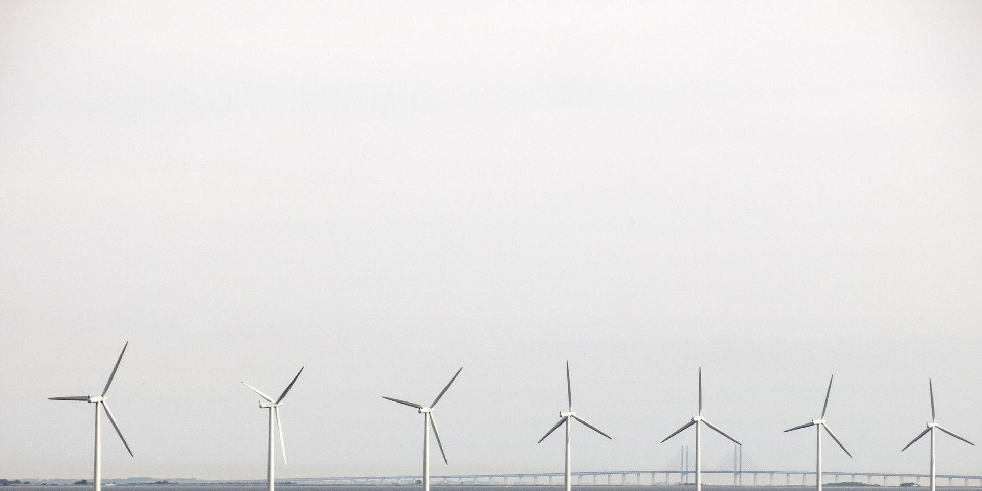 Största vindkraftsparken hamnar i Nordsjön, vid Doggers bankar. På bilden vindsnurror i Öresund. Arkivbild.