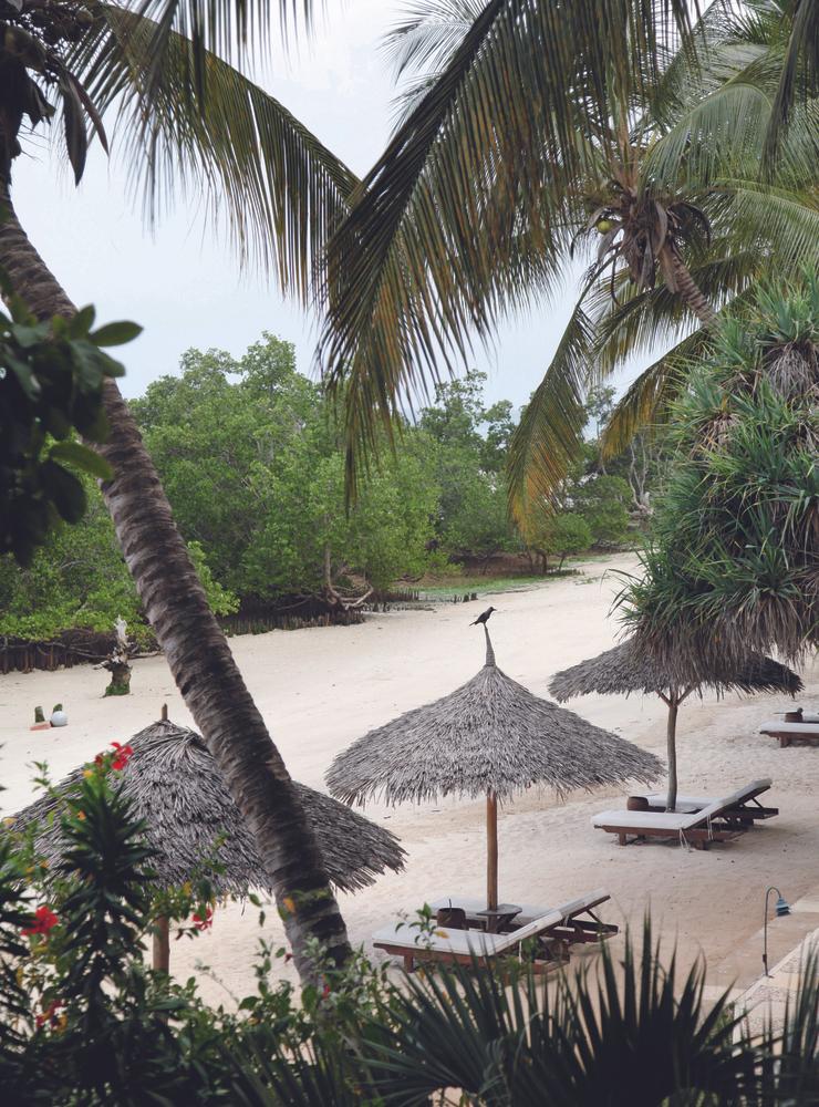 STILLSAMT. På Zanzibar är det lätt att hitta öar som bjuder på lugn och ro.