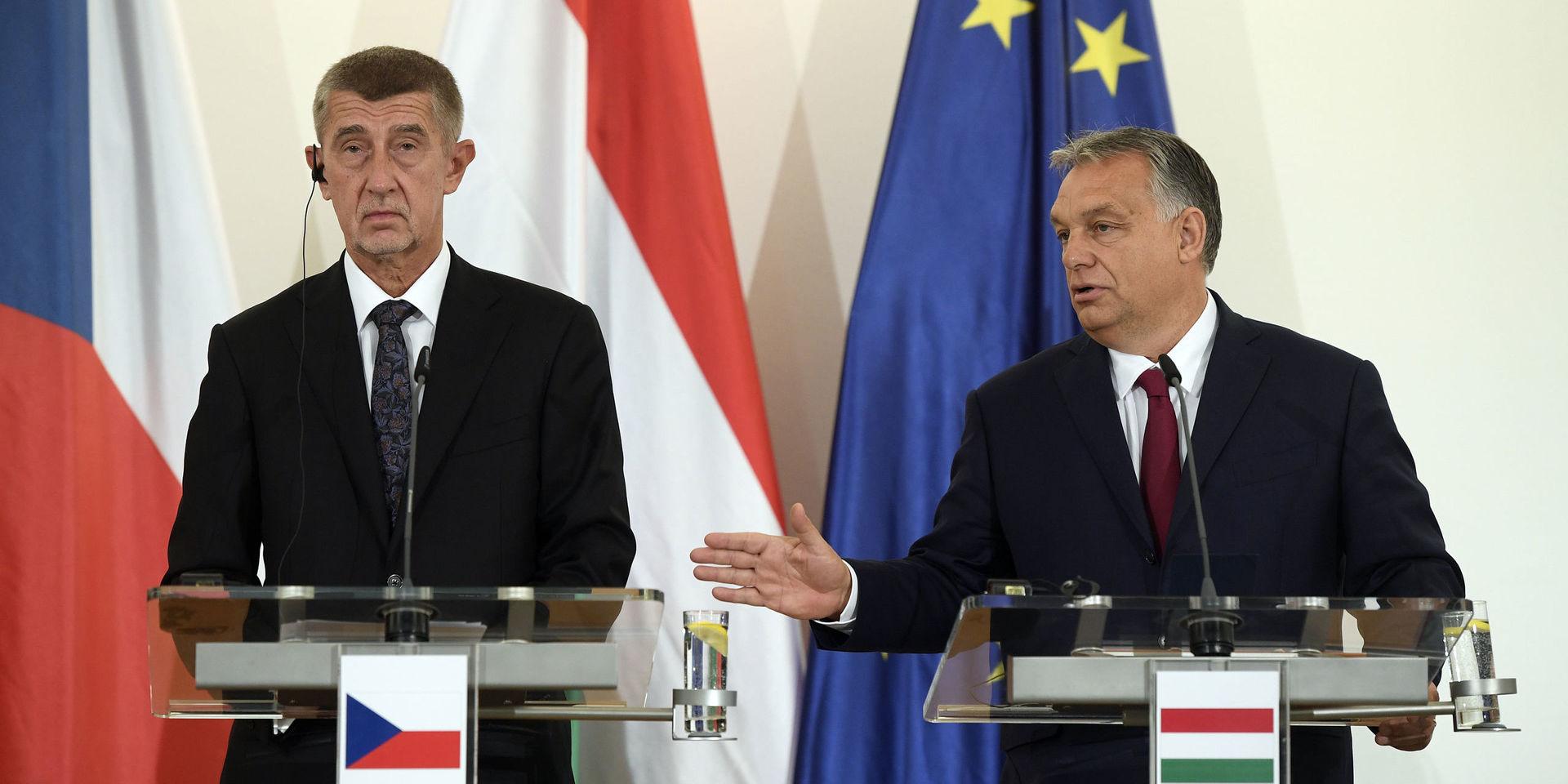 Tjeckiens premiärminister Andrej Babis och Ungerns Viktor Orbán kämpar för en EU-budget med mer pengar i regionalstöd. Arkivbild.