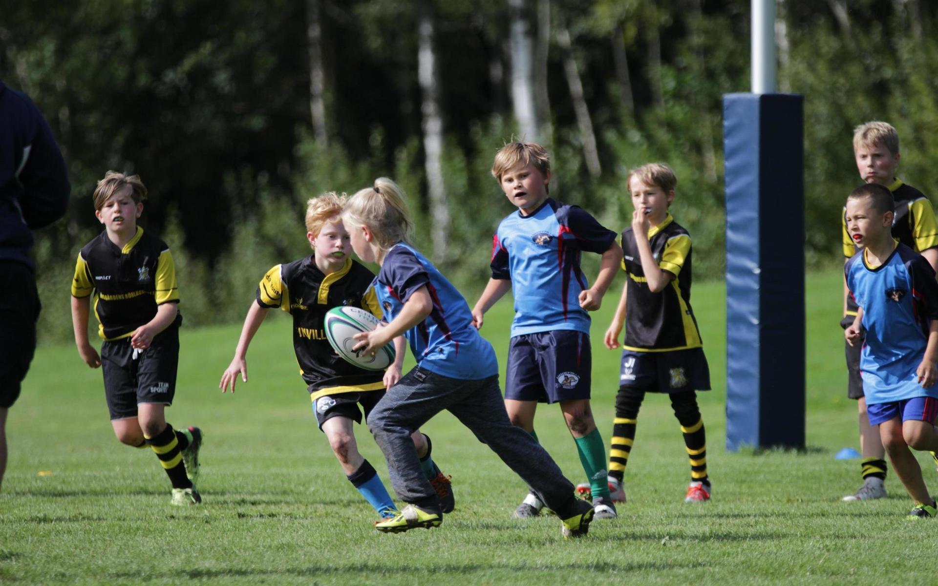 Uddevalla rugby arrangerar varje säsong fem minifestivaler. Då bjuder de in andra klubbar i närområdet och spelar matcher mot och med varandra. Bilden är från en tidigare festival. 