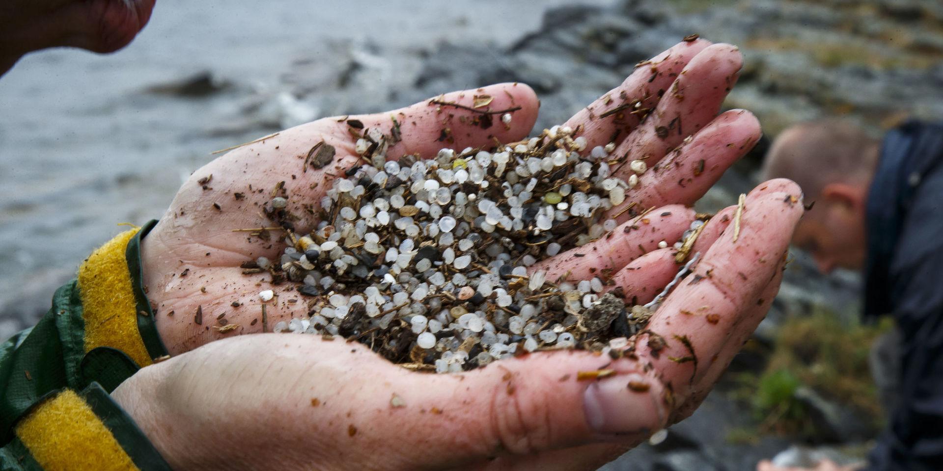 Plastpellet och andra plastprodukter finns i stora mängder i haven runt om i världen och även på stränderna i Bohuslän.