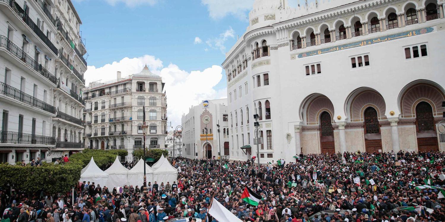 Protester i Alger på onsdagen.