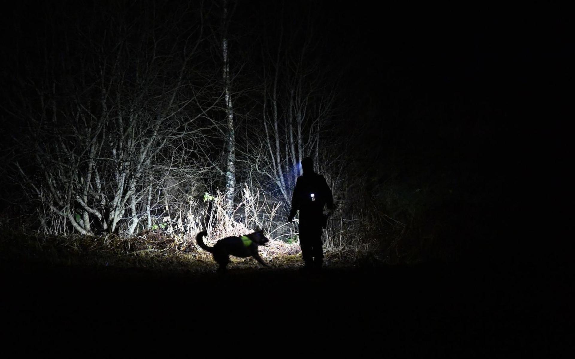 På tisdagskvällen riktades sökinsatsen in mot trakterna kring Ljungskile. Tidigare har man sökt strax utanför Uddevalla.